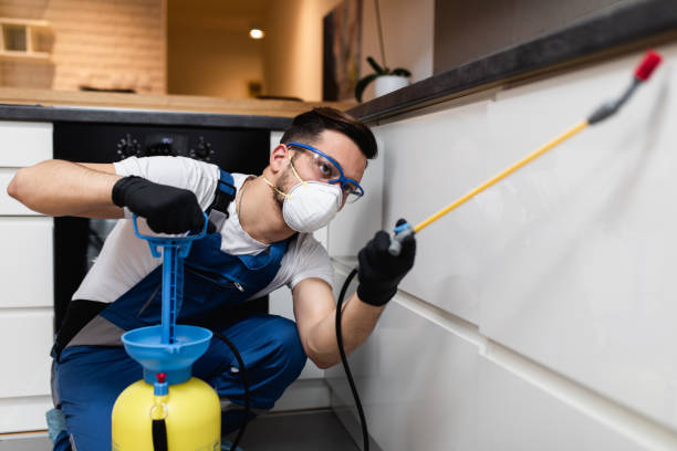 Best Best Pest Control Companies  in Pulaski, VA