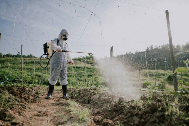 Best Best Pest Control Companies  in Pulaski, VA