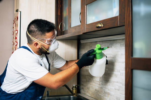 Best Wildlife Control Services  in Pulaski, VA