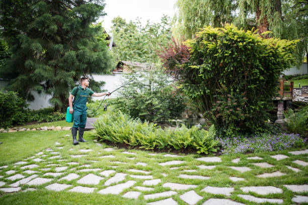 Best Pest Prevention Services  in Pulaski, VA