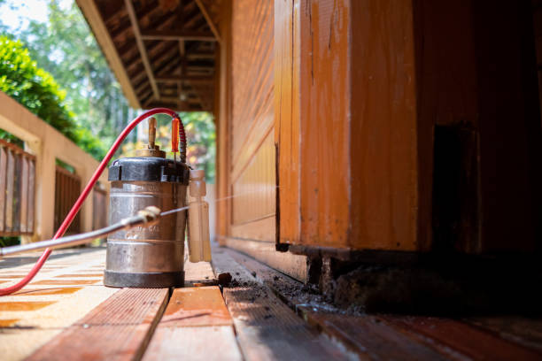 Best Pest Control Treatment  in Pulaski, VA