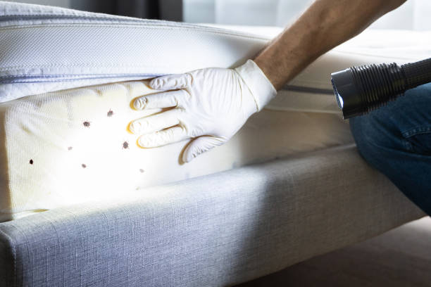Pest Prevention Services in Pulaski, VA