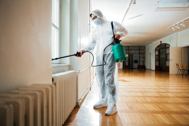 Best Affordable Pest Control Services  in Pulaski, VA