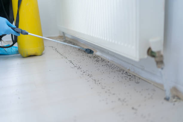  Pulaski, VA Pest Control Pros